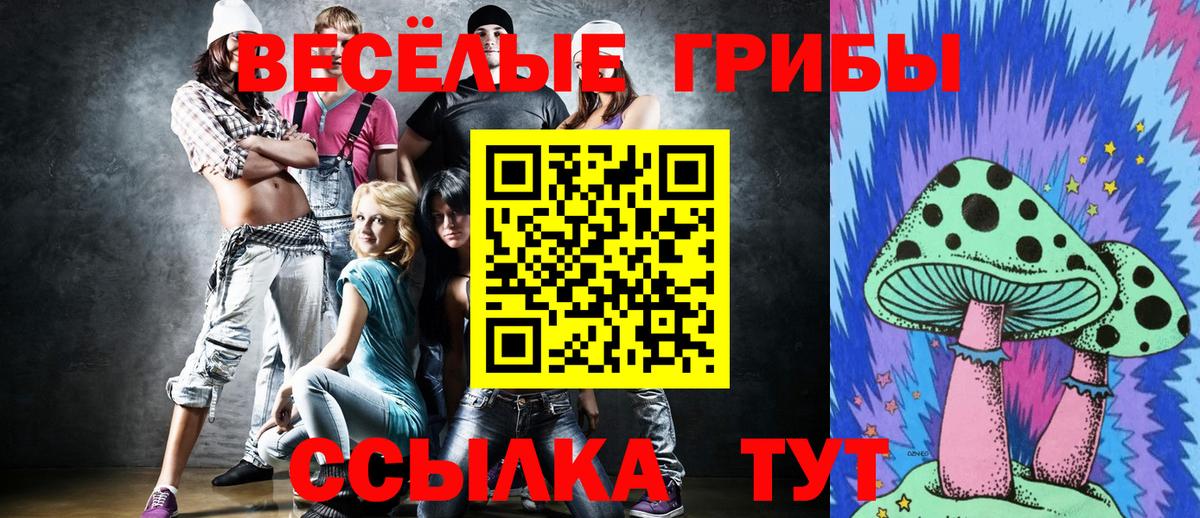 Курчатов  Галлюциногенные грибы Psilocybe  Вход с VPN 