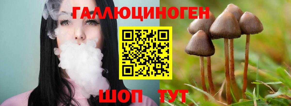 Псилоцибиновые грибы MAGIC MUSHROOMS Курчатов